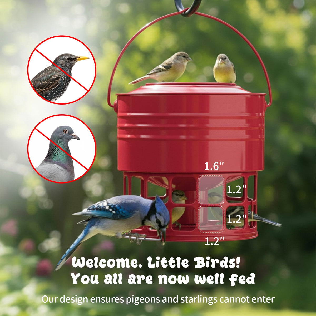 KOL Large Bird Feeder easy-clean interior for quick maintenance