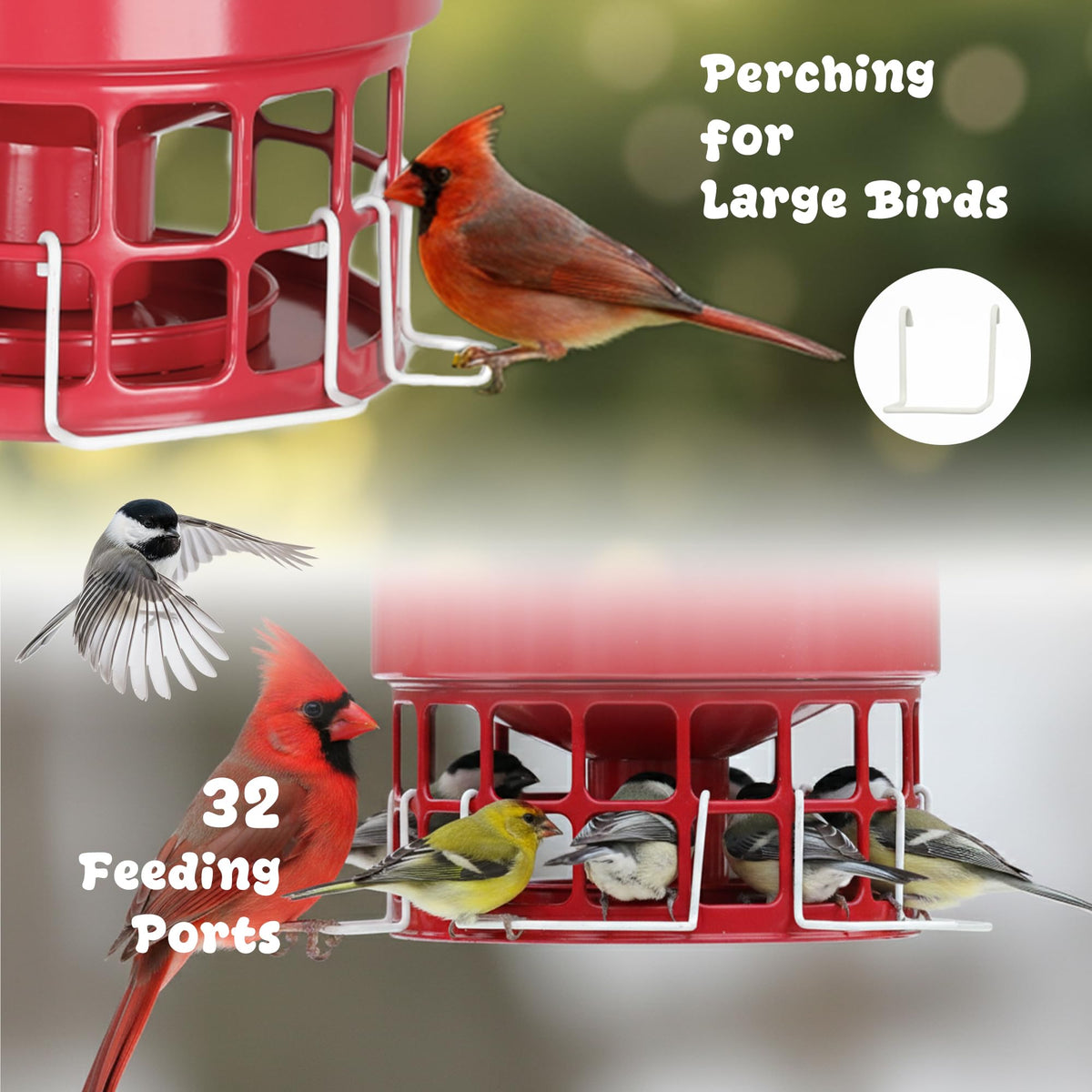 KOL Large Bird Feeder three perches detail enables larger species resting