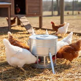 KOL portability handle aids easy relocation between coops