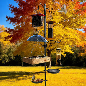 KOLAKO matte black finish adds rustic garden style.