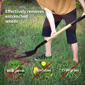 KOLEIYA transfer shovel with square head for efficient scooping of leaves.