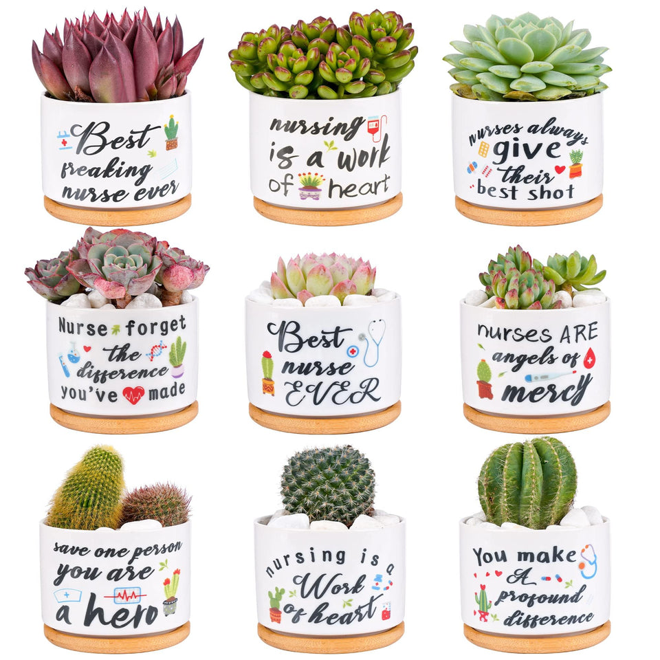 Kolewo4ever ceramic succulent pot set with nine pots for desk decor.