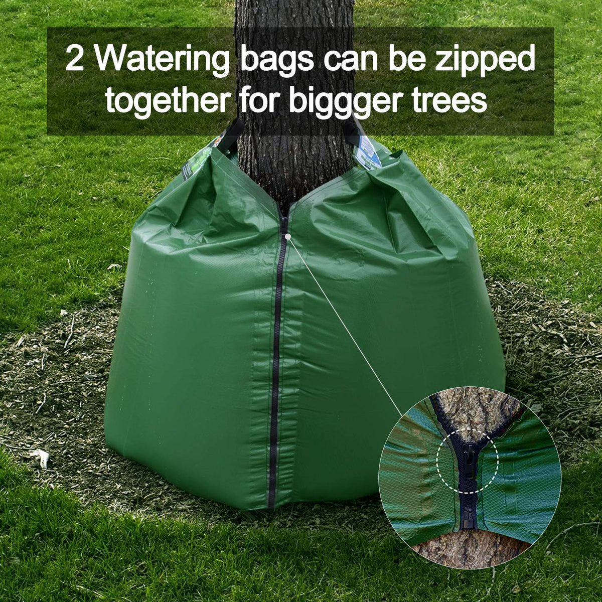 KONIGEEHRE water delivery to roots reduces waste and evaporation.