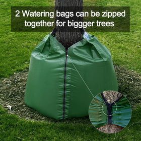 KONIGEEHRE water delivery to roots reduces waste and evaporation.