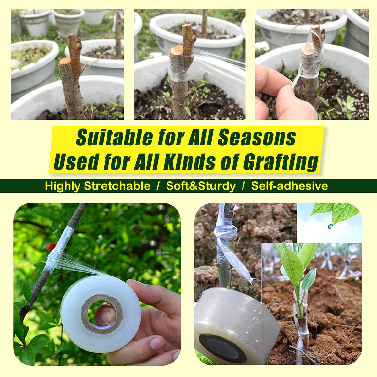 Konload self-adhesive grafting tape holds buds securely with breathable support.