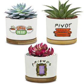 KONROOWEI 3-piece Friends pots for stylish home decor and plants.