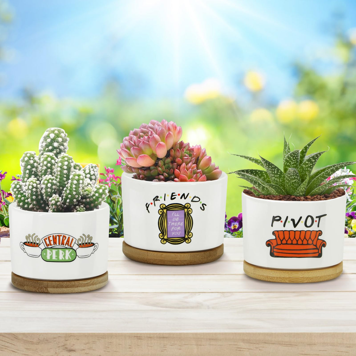 KONROOWEI Note that plants are not included, ready for customization.