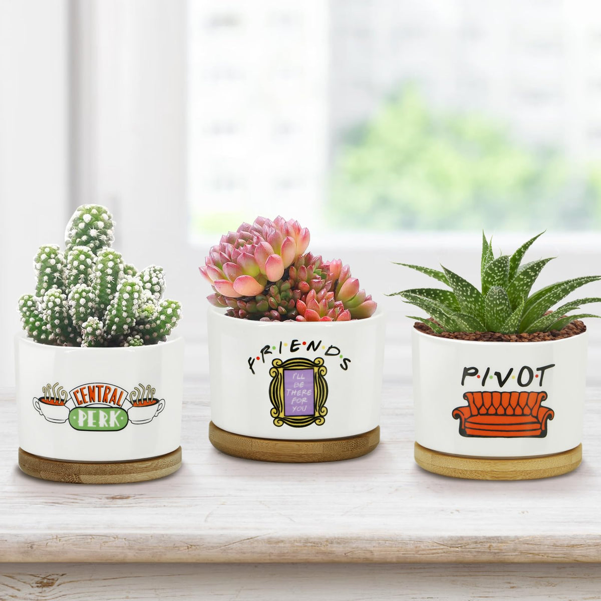 KONROOWEI Friends-themed pot close-up highlighting ceramic finish.