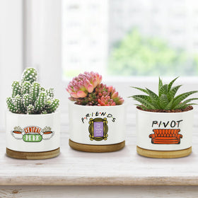 KONROOWEI Friends-themed pot close-up highlighting ceramic finish.