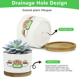 KONROOWEI Versatile set ideal for gifting occasions and decor.