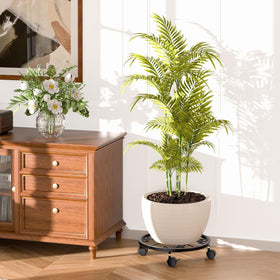 KOOKASHOP heavy-duty plant dolly supports up to 80 lbs.