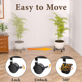 KOOKASHOP lockable plant rollers ensure controlled movement outdoors.
