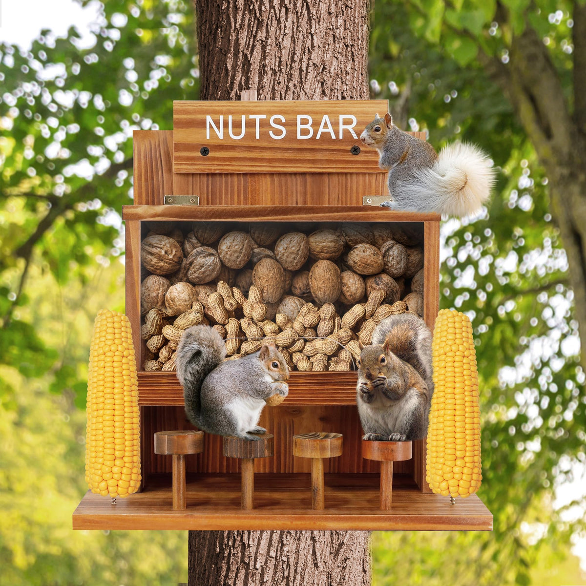 KOOPRO Squirrel Feeder with clear acrylic window showing food inside