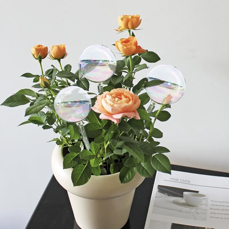 Koorabbee hanging plant globe for elevated indoor displays.