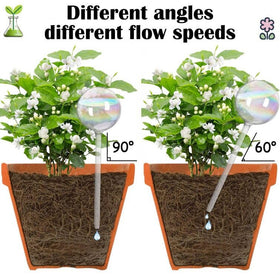 Koorabbee indoor-outdoor plant watering accessory ready for windowsill or patio.