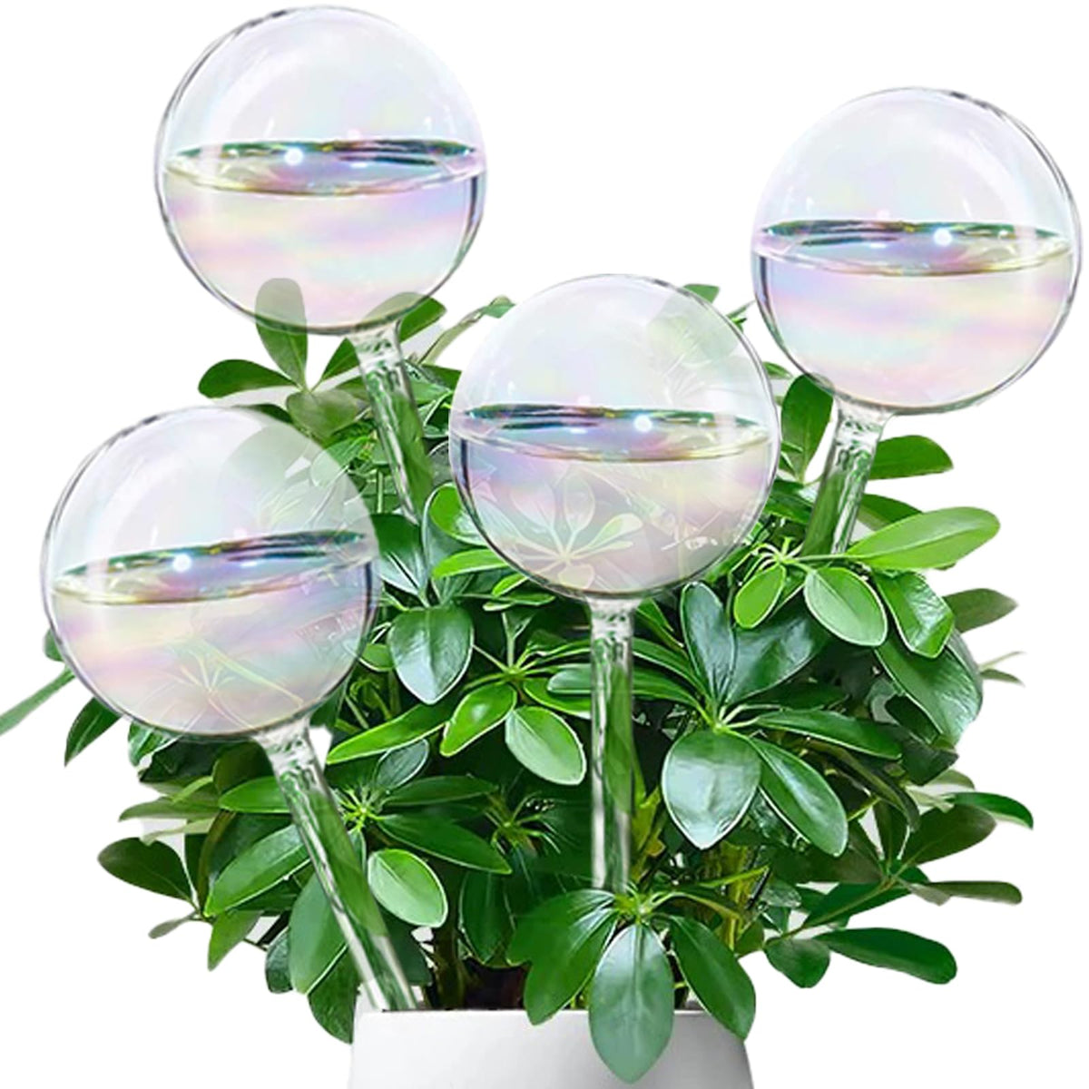 Koorabbee iridescent glass watering globe, 9-inch, keeps indoor plants hydrated while you’re away.