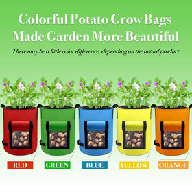 Kopotma multicolor grow bags with flap design and handles for easy relocation