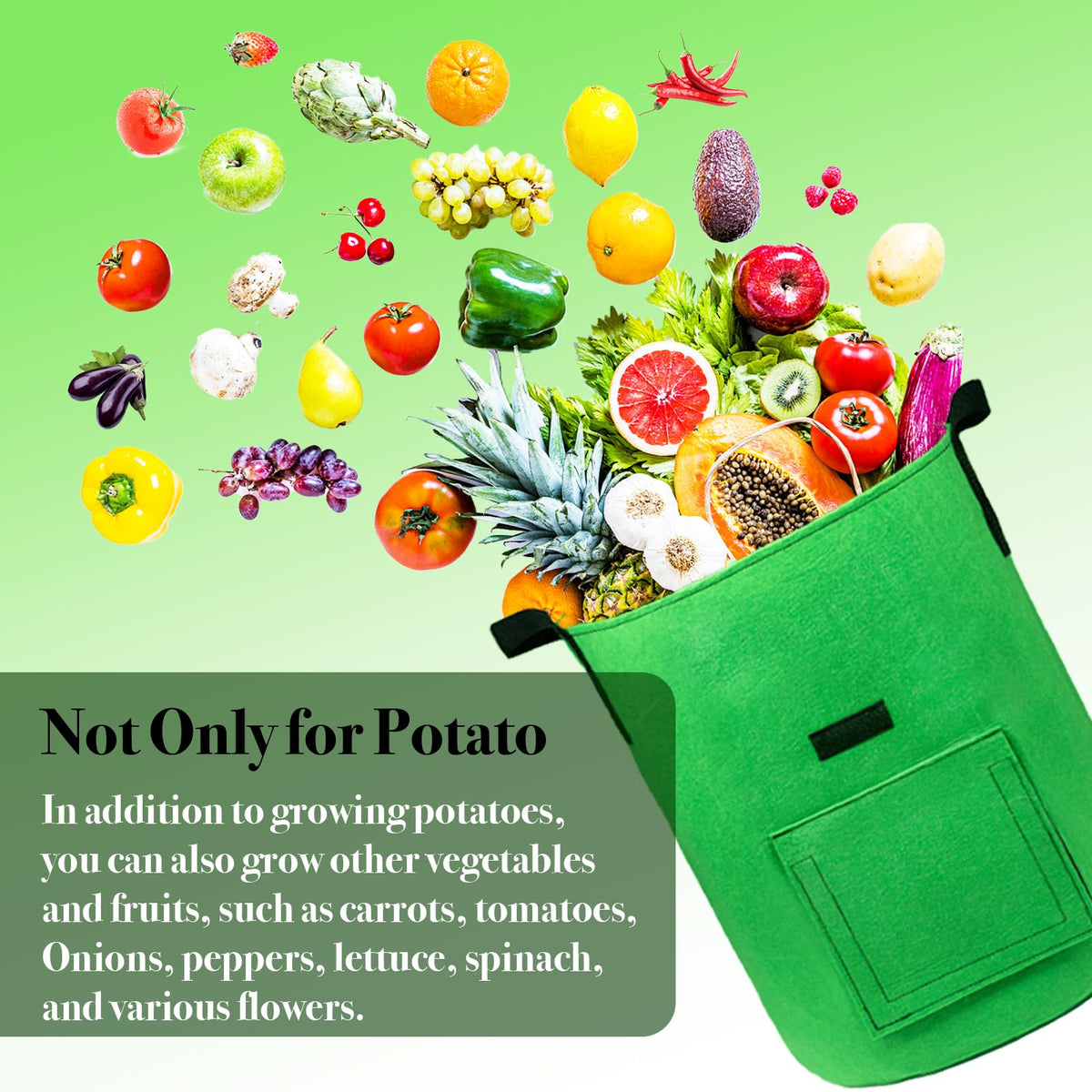 Kopotma potato planter with harvest window enables quick, clean harvesting