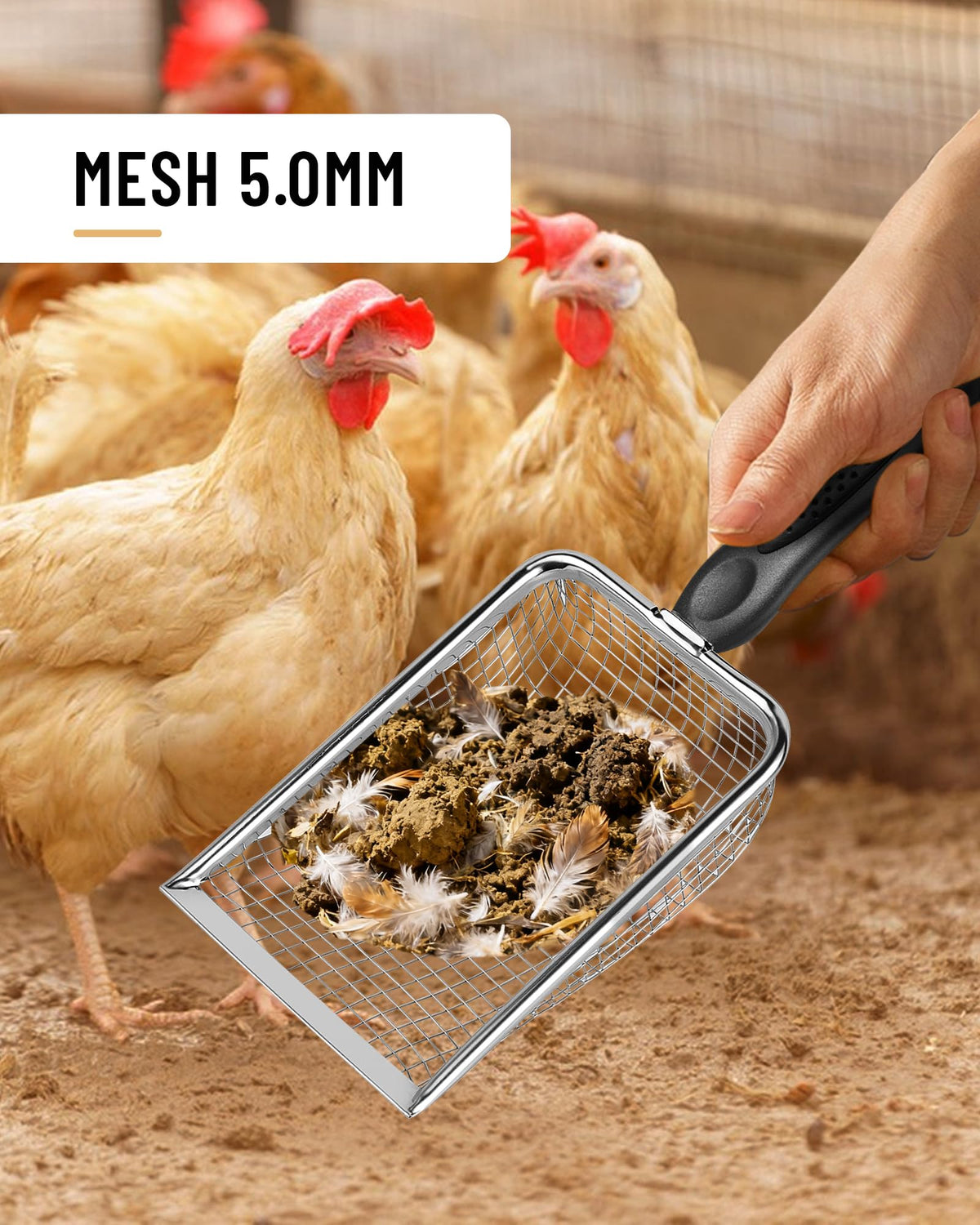 KOROI stainless steel coop scoop highlights durability for heavy messes.