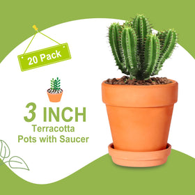 Kosrtuny 20-pack terracotta pots ideal for succulents and windowsill displays.