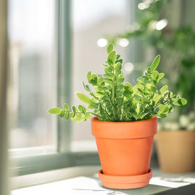 Kosrtuny pot features drainage holes to support plant care.