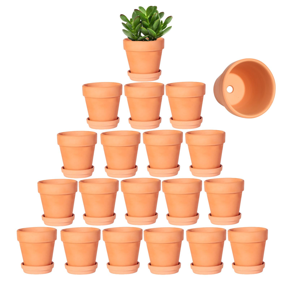 Kosrtuny 3-inch terracotta pot with drainage holes for small succulents.