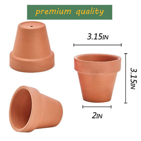 Kosrtuny terracotta pot showing drainage hole for healthy watering.