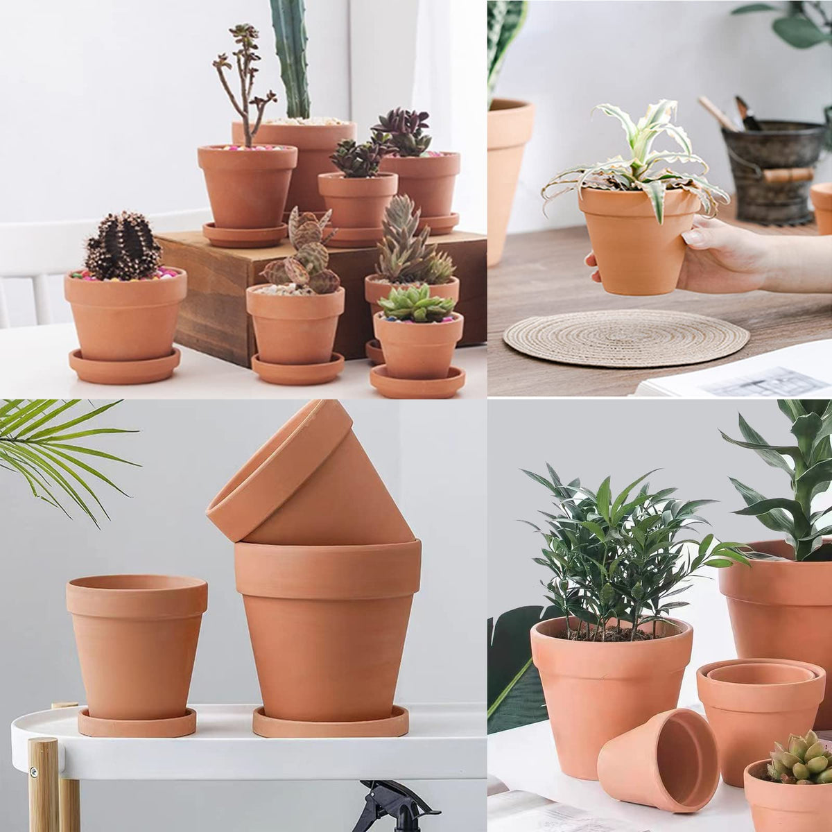 Kosrtuny 3-inch pots on a sunny windowsill for herbs and houseplants.