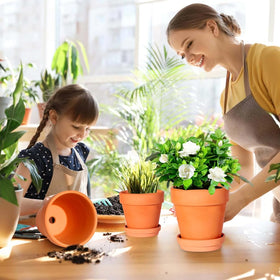 Kosrtuny 3-inch pots with saucers provide a complete planting solution.
