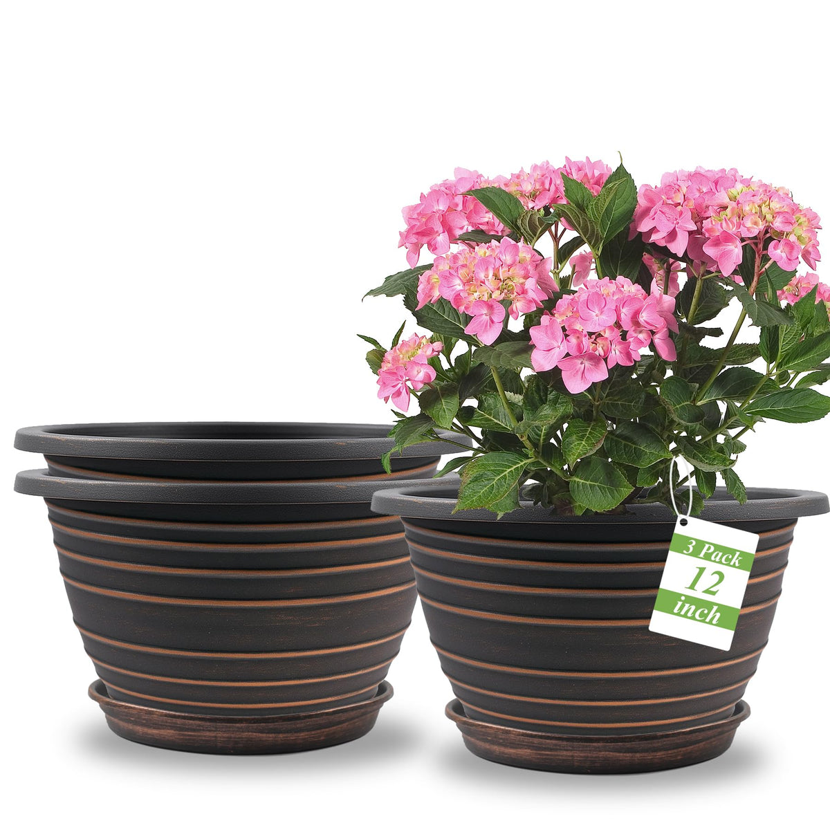 KPUVX 12-inch copper finish pot for outdoor spaces, ideal for sun-loving plants