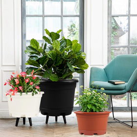 KPUVX lightweight, durable planter ideal for moving between rooms.
