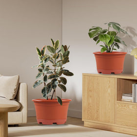 KPUVX lightweight planters are easy to move on windowsills, desks, and balconies.