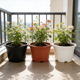 KPUVX indoor outdoor planters ideal for shelves and windowsills