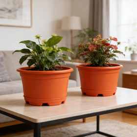 KPUVX saucer tray accompanying planters for spill prevention