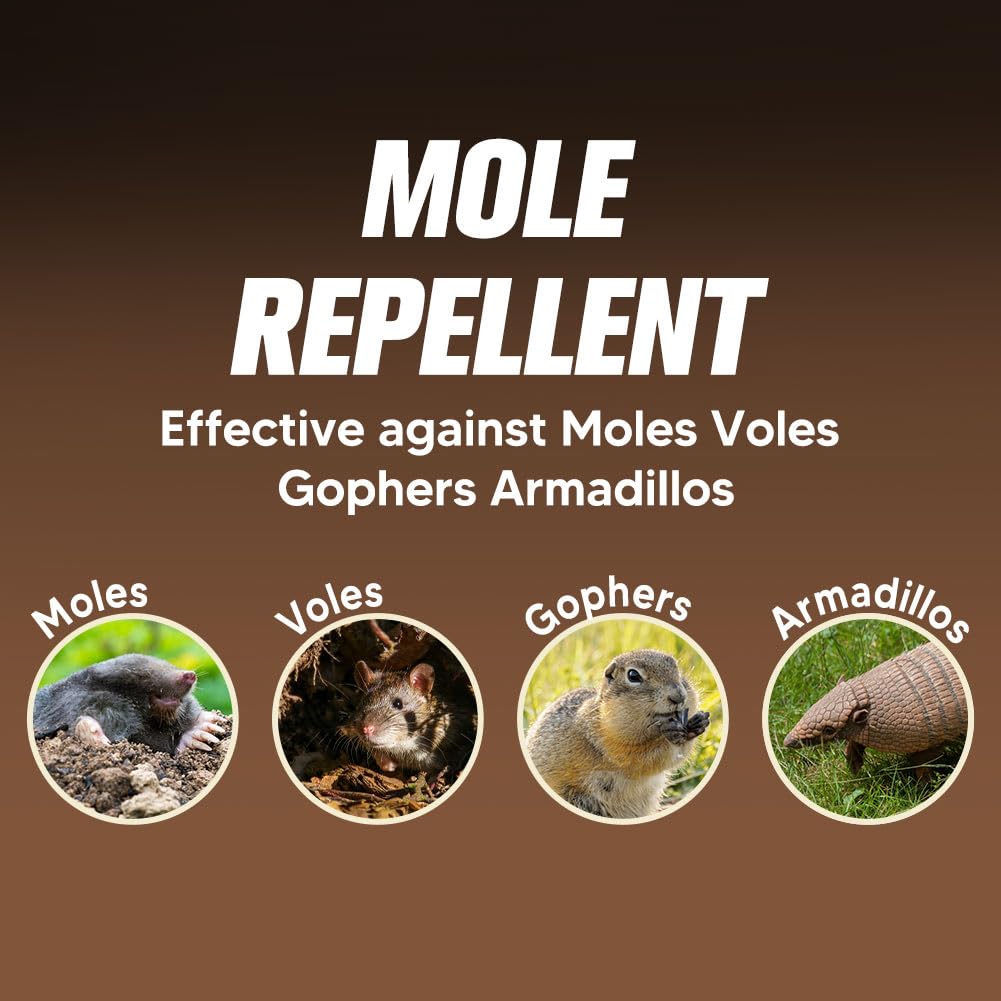Granules close-up showing natural ingredients for outdoor deterrence from KQCWKH.