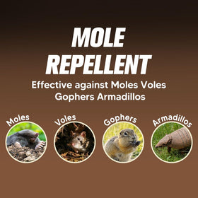 Granules close-up showing natural ingredients for outdoor deterrence from KQCWKH.