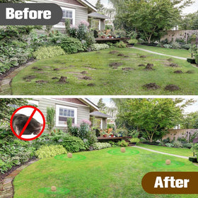 Backyard lawn scene illustrating months of protection with KQCWKH deterrent.