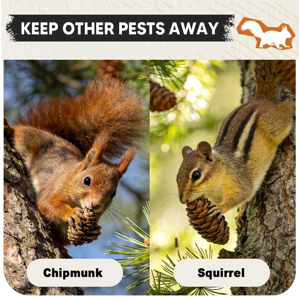 KQCWKH squirrel deterrent in garden helping preserve plant growth.