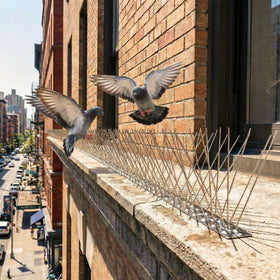 KraAra bird spikes on chimney deter perching without harming birds.