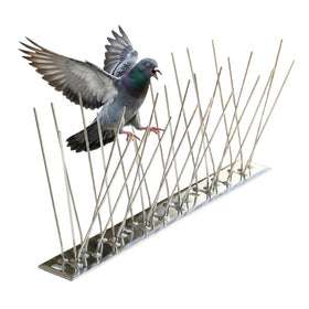 KraAra bird spikes on roof edge deter pigeons with humane, durable protection.