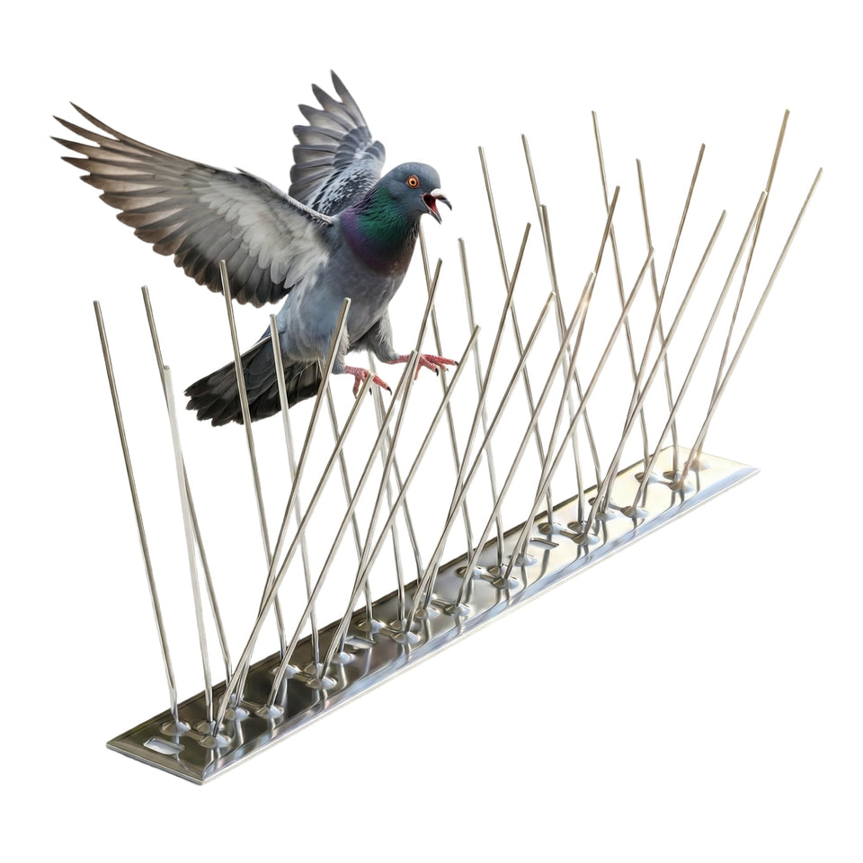 KraAra bird spikes on roof edge deter pigeons with humane, durable protection.