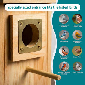 KraAra outdoor bird house sized for bluebirds and chickadees in yard