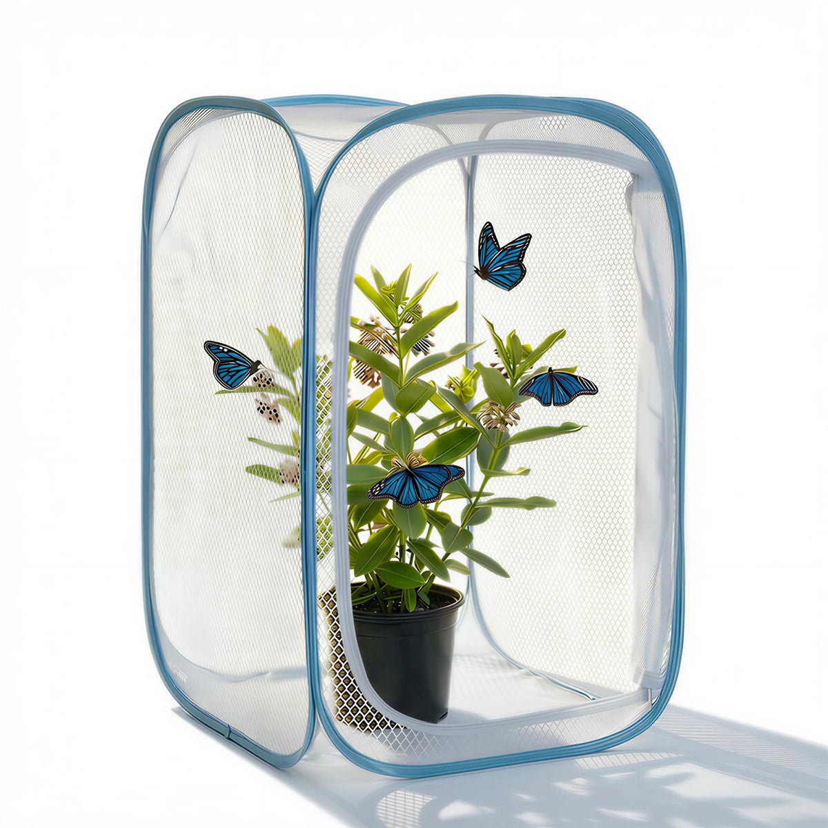 KraAra Insect & Butterfly Habitat Cage pops up quickly for on-the-go observation.