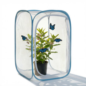 KraAra Insect & Butterfly Habitat Cage pops up quickly for on-the-go observation.