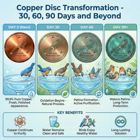 KraAra Pure Copper Bird Bath Disk helps maintain water clarity in warm weather.