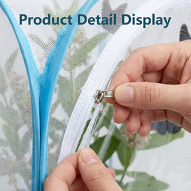 Spacious KraAra interior supports multiple caterpillars with milkweed for natural growth.