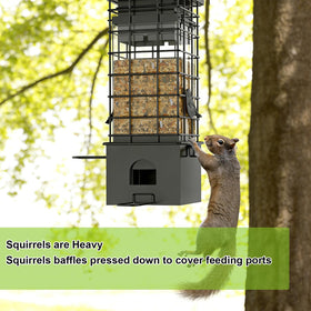 KRUOO gap design squirrel blocker with metal cage detail.