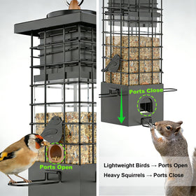 KRUOO feeder front close-up highlighting gap design prevents large birds.