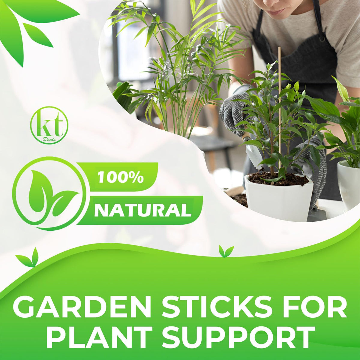KT Deals 18-inch bamboo stake ideal for floral arrangements