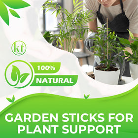KT Deals 18-inch bamboo stake ideal for floral arrangements
